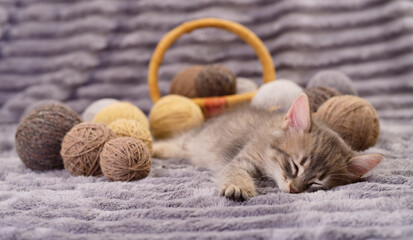 Small kitten sleeping with balls of wool on a soft blanket