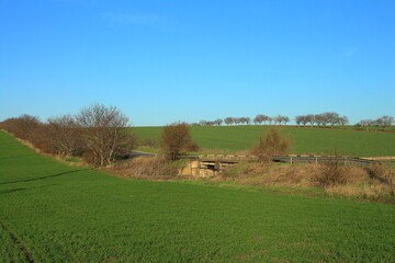 Fototapeta premium A field with a fence and trees