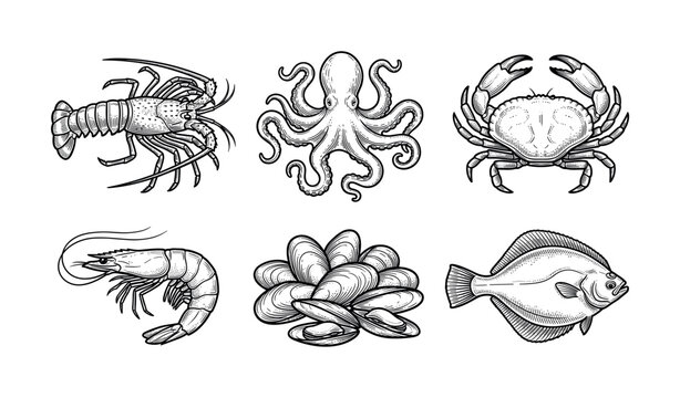 Collection of hand-drawn seafood icons: lobster, crab, octopus, shrimp, mussels, fish. Vintage engraving vector art for restaurant menus or food branding.