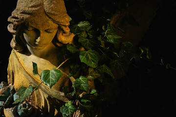 Fototapeta premium Angel statue covered with ivy in dramatic light, symbol of decay, time, nature and forgotten memory.