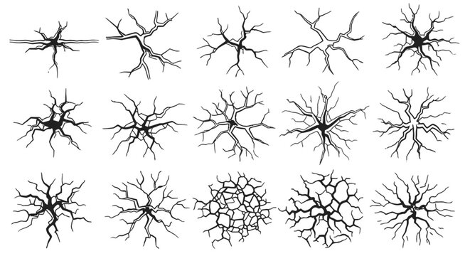 Collection of neuron and neural network structures.