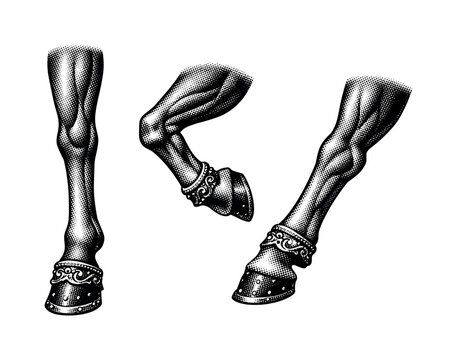 Carousel horse leg with carved musculature and decorative hoof detailing, shown as a single realistic carousel horse leg presented in three views including