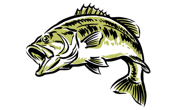 Angler club adventure. Catch of the day artwork. Bass fishing vintage print design. Outdoor sport lifestyle graphic for t-shirt, poster, and sticker.