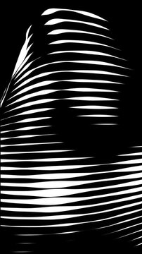 Abstract loop black and white. White waves lines flow on black background. Abstract composition with white tick lines as flowing data stream.