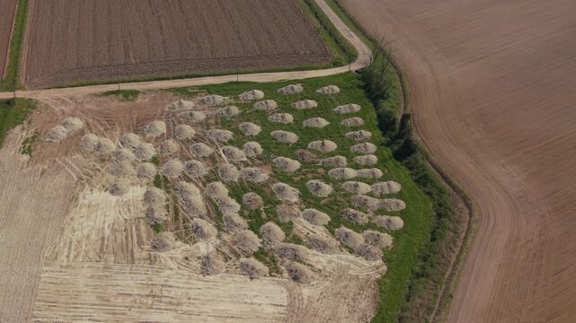 Field Farming Landscape: Aerial view of harvested wheat fields with rows of hay bales in a rural landscape, showcasing agricultural practices and the beauty of the countryside.