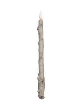 Sharpened wooden stick is isolated.