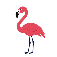 Obraz premium Cute Flamingo Bird Flat Vector Illustration, Tropical Animal Design for Summer, Beach and Wildlife Theme