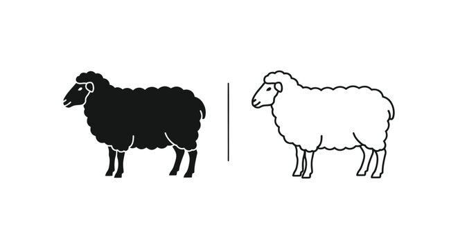 Black vs White Sheep: Wool Breed Comparison Guide Vector