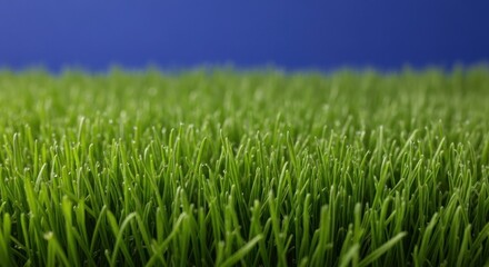 Obraz premium Close-up View of Lush Green Grass Blades Against a Deep Blue Sky.