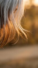 Naklejka premium Close-up of woman's flowing brown hair illuminated by warm golden sunlight creating natural highlights and soft bokeh background for beauty concepts.