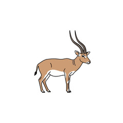 Fototapeta premium Simple line art illustration of a graceful gazelle with long, elegant horns standing on a white background