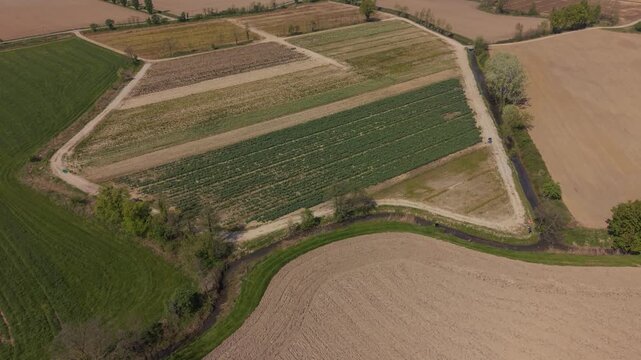 Aerial drone view of legume plantation with neat rows in Mediglia, Italy.