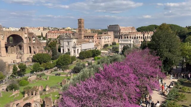 Scenic panoramic aerial vista of Forum and Coliseum in Rome in springtime viewed from Palatine Hill, Italy