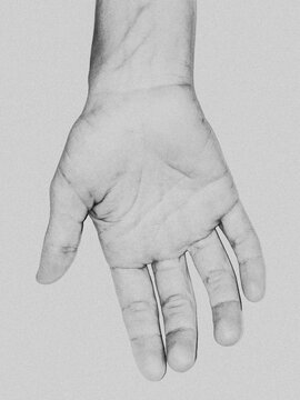 hand portrait