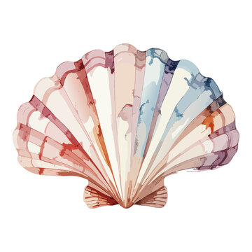 Pastel watercolor scallop shell vector illustration
