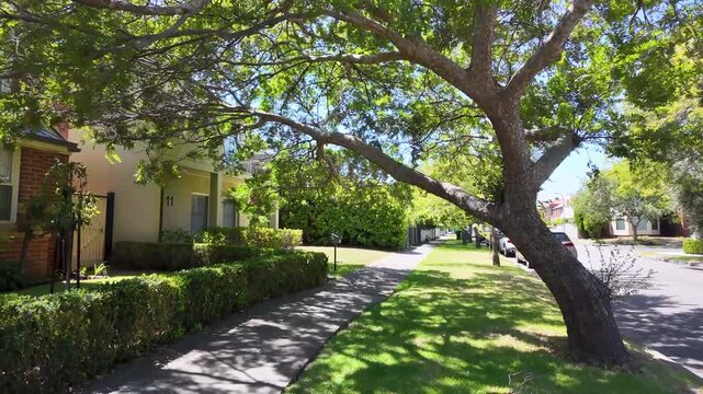 Leafy residential street in Williamstown, Melbourne, Australia, with shaded footpath, mature trees, and suburban houses. Calm neighborhood, greenery, livability and comfortable everyday living.