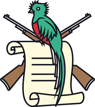 quetzal bird perched on scroll with crossed shotguns illustration for hunting or conservation themed design