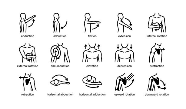 Vector diagrams of human arm joint movements with titles and arrows