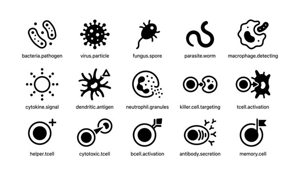 Immune system icons: pathogens, cells, and reactions
