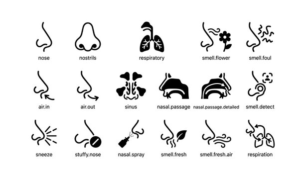 Nose and respiratory system icons: airflow, smell, sinus and respiration symbols