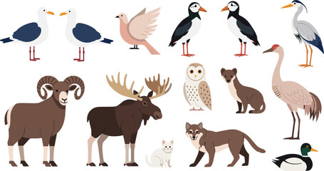Fototapeta premium Forest and Arctic Animals Vector Illustration Set Featuring Birds, Moose, Ram, Owl, Fox, Wolf, and Waterfowl in Flat Cartoon Style for Nature Design.