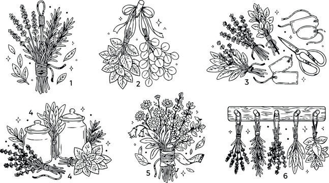Black and white detailed line art bundles of herbs tied with ribbons scissors and labels for coloring book pages floral aromatic plants objects arranged in neat composition vector line drawing