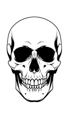 Human Skull Illustration Detailed Anatomy Drawing. © Tujuenam
