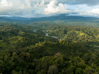 Obraz premium Majestic green landscape stretches across valleys under a soft sky with clouds in the afternoon light