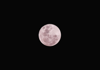 Fototapeta premium Full Moon Glowing in the Dark Night Sky