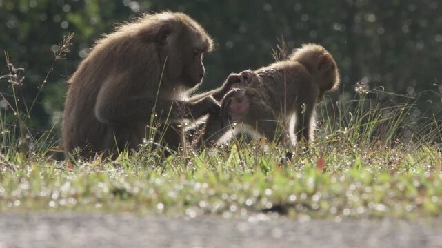 mother and baby