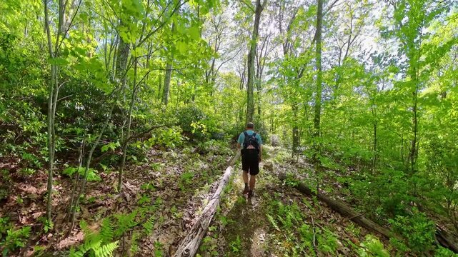 Following Man Hiking on Hannah Run Trail in Shenandoah National Park