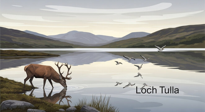 Majestic stag drinking from the calm water of Loch Tulla in the Scottish Highlands at sunset flat vector landscape illustration
