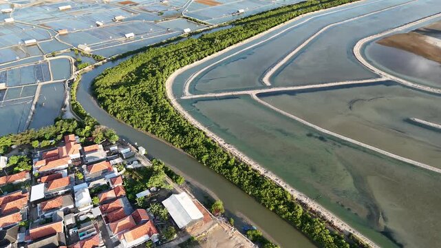 Aerial View of Mangrove Forest, Traditional Salt Pans, and Coastal Residential Area in Indonesia