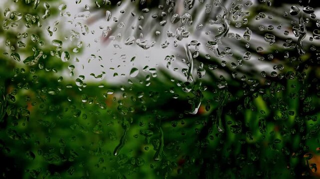 water Rain drops fall on a window glass with blurred peaceful outdoor scene with green trees leaves in the evening, creating a bokeh effect.