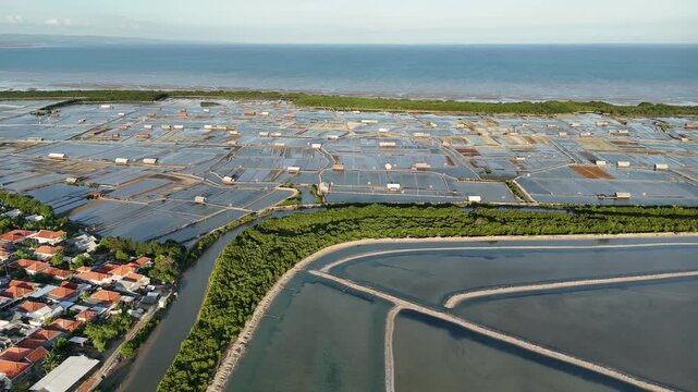 Aerial View of Mangrove Forest, Traditional Salt Pond near the beach, and Coastal Residential Area in Indonesia