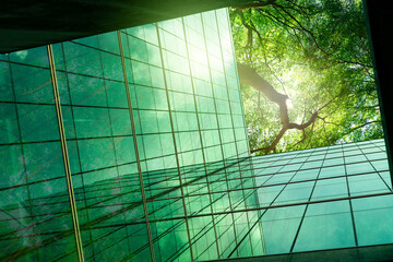 Fototapeta premium Sustainble green building. Eco-friendly building in modern city. ESG. Sustainable glass office building with green tree. Office with green environment. Corporate sustainability. Net zero emission.
