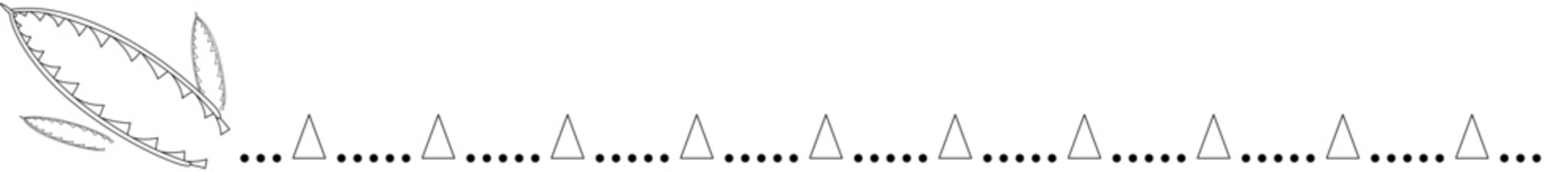 ポップなフデイシ(ディディモグラプタス)の仕切り線素材