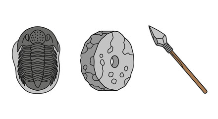 Trilobite fossils and stone spearhead. © yuppi