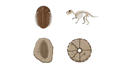 Trilobite fossils and dinosaur illustration. © yuppi