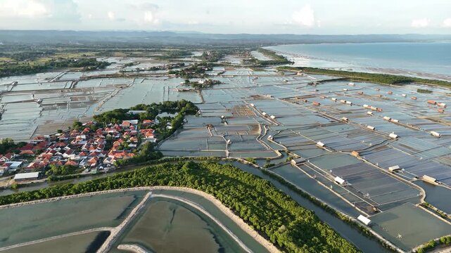 Aerial View of Mangrove Forest, Traditional Salt Pond with beach, and Coastal Residential Area in Indonesia