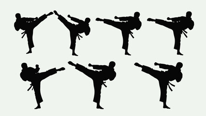 Karate Silhouette Set: Dynamic Kicks and Martial Arts Poses © K_M