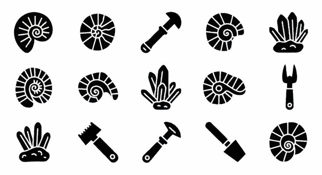 Fossil Ammonite Shells and Tools.