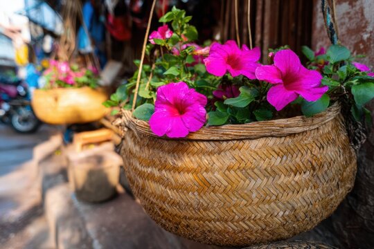 路上の編み籠に咲く色とりどりの花