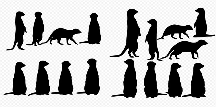Set of meerkat silhouettes in various poses, including standing and walking, isolated on a transparent background.
