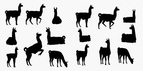 Collection of black llama silhouettes in various poses on a transparent background, perfect for design elements and animal-themed projects. © Akun