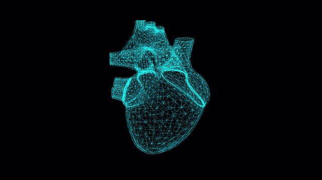Futuristic Human Heart Wireframe Animation with Holographic Anatomy, Medical Technology Visualization Loop