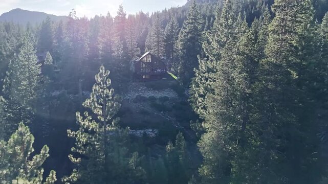 Aerial Drone View of Clear Alpine Lake Surrounded by Dense Pine Forest Sierra Nevada California