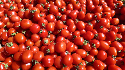 Fresh red tomatoes gathered for sale at the market © Towfiqu Barbhuiya 