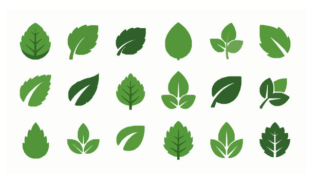 Green Leaf Icon Set Eco Bio Vegan Nature Flat Vector