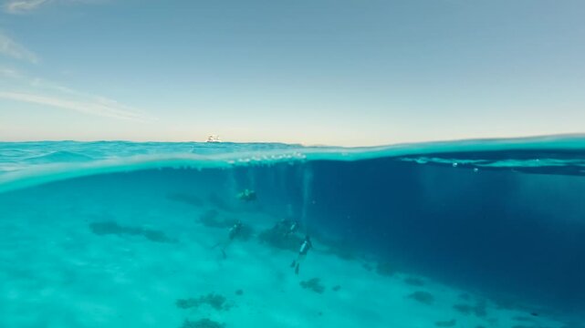 Half underwater view of group of scuba divers descending beneath calm sea surface